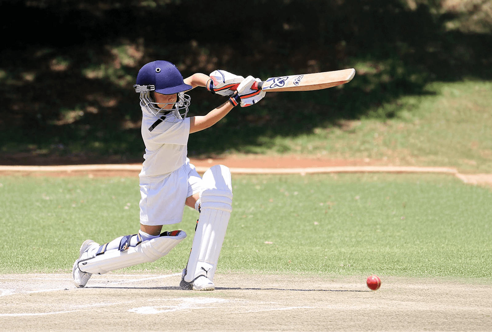 Junior cricket team